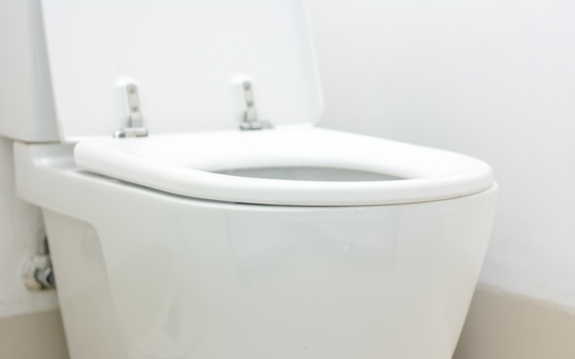 Lower Sackville Toilet Repair
